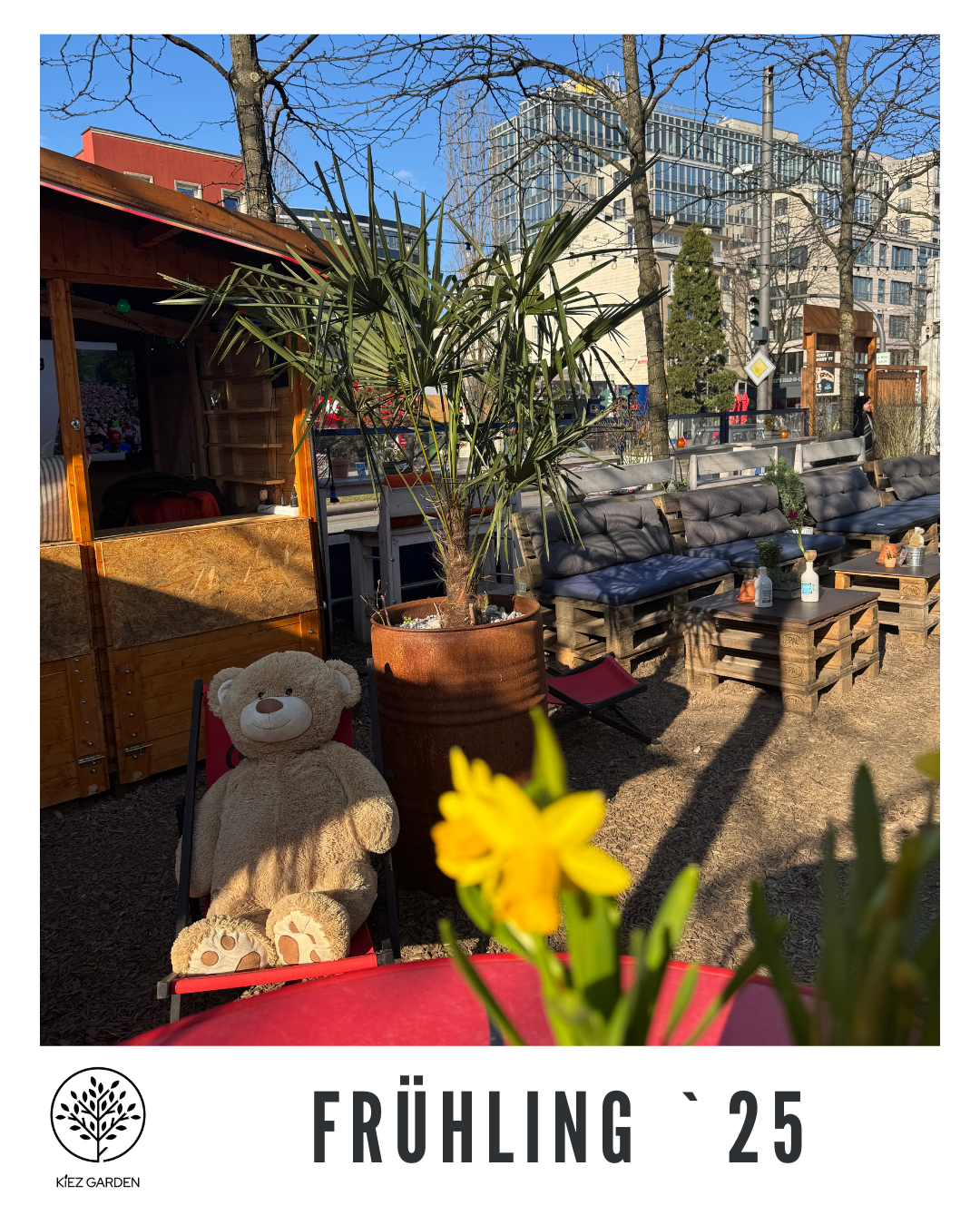 5 spring-25-05